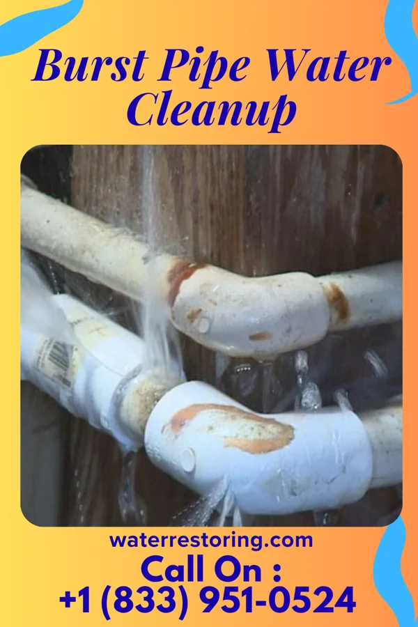 Burst Pipe Water Cleanup in Hemingford, NE