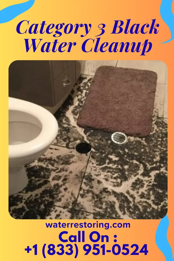Category 3 Black Water Cleanup in Hemingford, NE